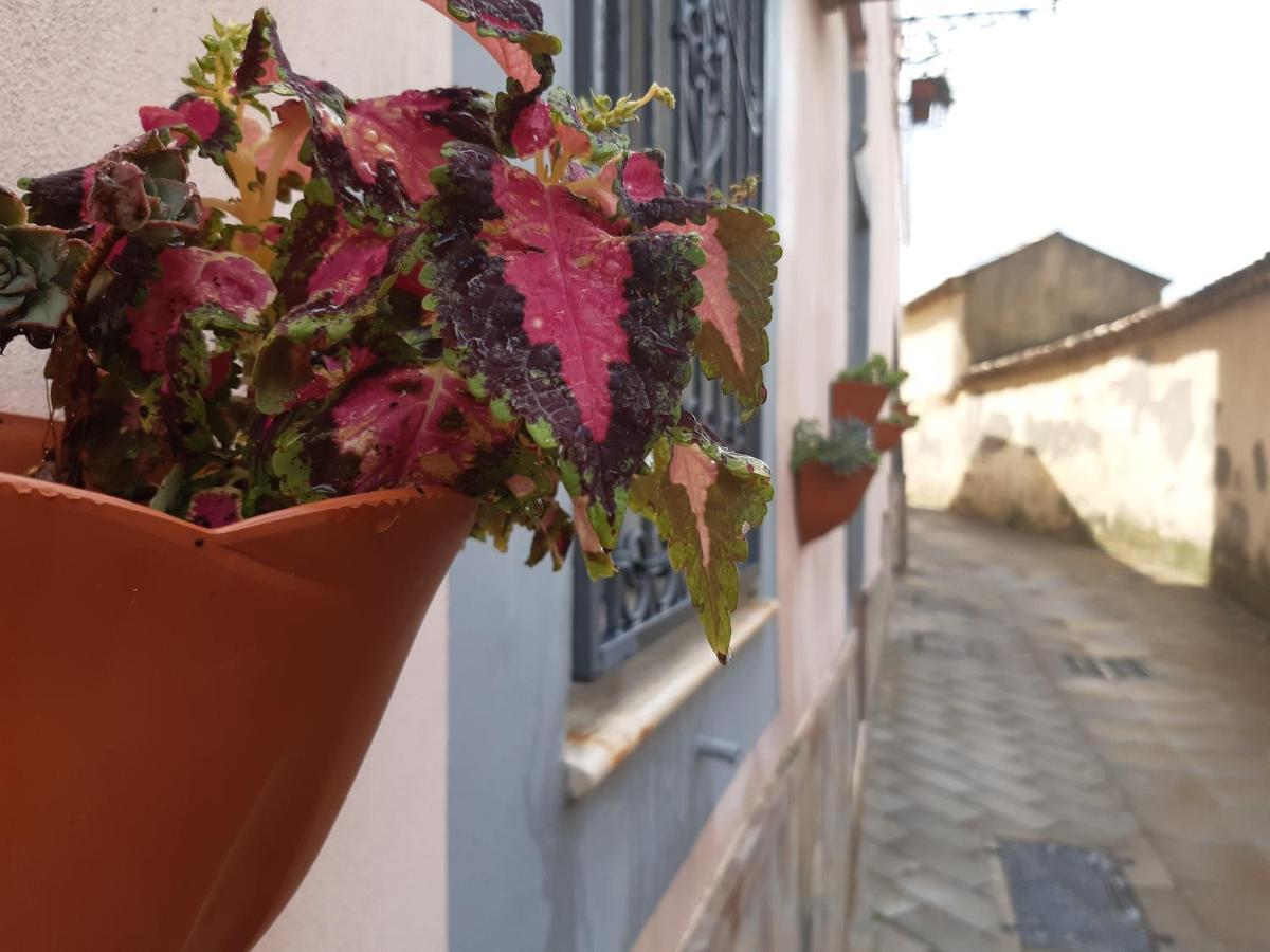 Appartamento Per Turisti Filoxenia Αγία Σεβερίνα Εξωτερικό φωτογραφία